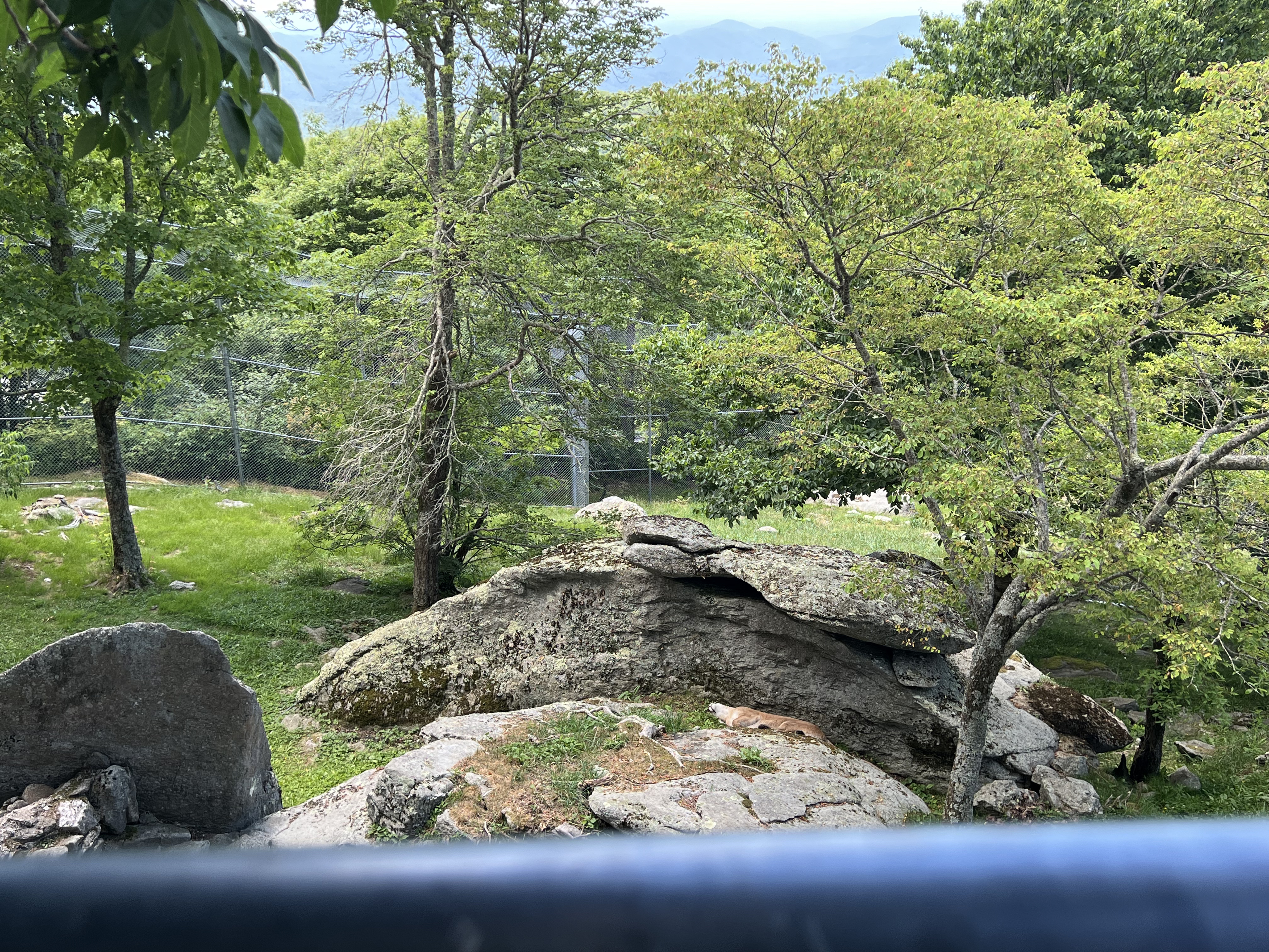 ./2024/08 - Banner Elk/Grandfather Mountain/IMG_1969.jpg